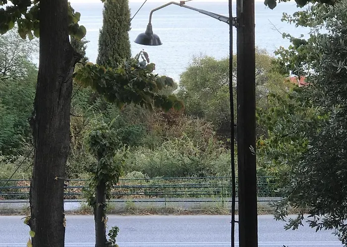 Apartament Sofy's House