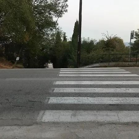 Apartman Sofy's House *